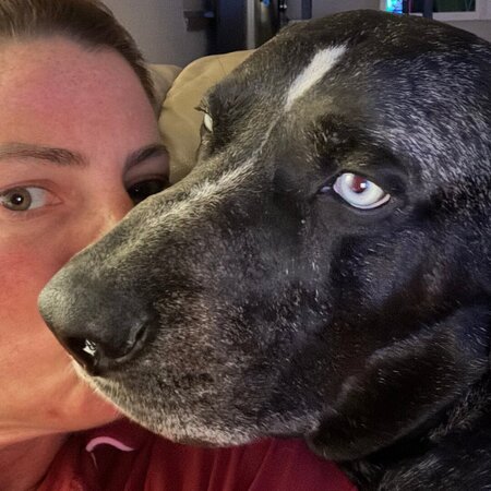 Experienced Dog Sitter In Callahan For 2 Catahoulas