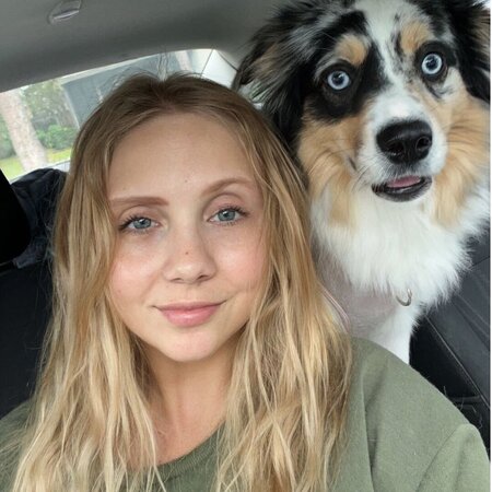 Sitter Needed For 2 Dogs In Mars Hill