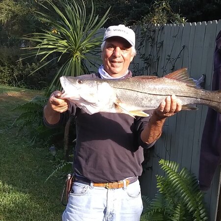 Seeking Adult Care Provider In Clearwater