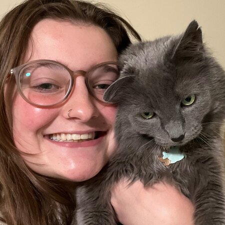 Looking For A Pet Sitter For 2 Cats In Salisbury