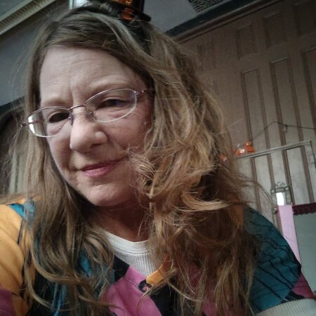 Looking For A Pet Sitter For 1 Dog, 4 Cats In Antwerp