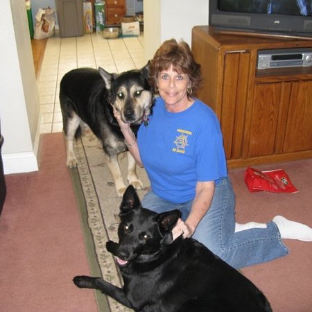 Morning Nanny Needed - Far North Side
