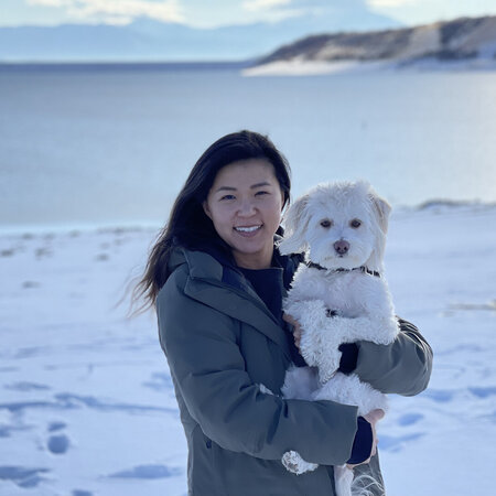 Nanny Needed For A 15-month Old Boy In Lisle.