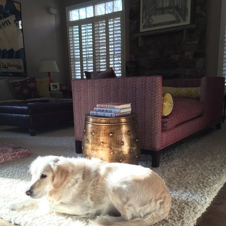 Post-Surgical Recovory/Household Help For My Sister In Perkasie