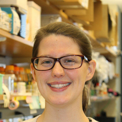 Babysitter Needed For 2 Children In Brookline