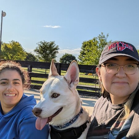 Looking For A Pet Sitter For 3 Exotic Pet, 1 Dog, 3 Fish Tanks In Dayton
