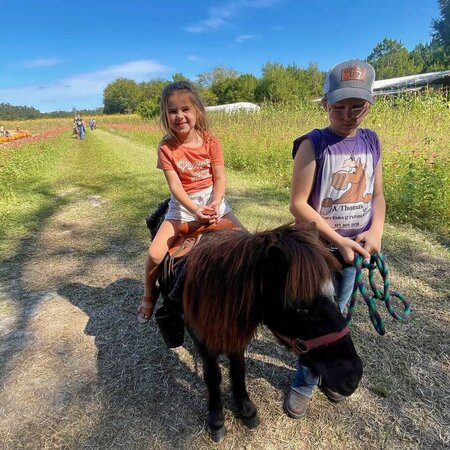 Seeking An Energetic Care Taker For My Toddler