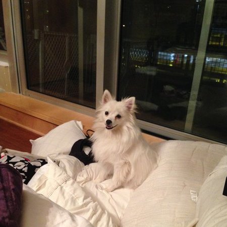 Nanny Needed For 1 Child In Minneapolis