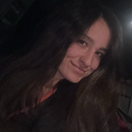 Looking For A Pet Sitter For 2 Dogs In Addison