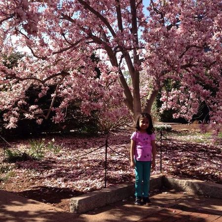 Looking For A Dependable House Cleaner For Family Living In Bradenton.