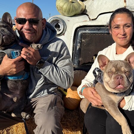 Looking For A Pet Sitter For 2 Dogs In Fresno