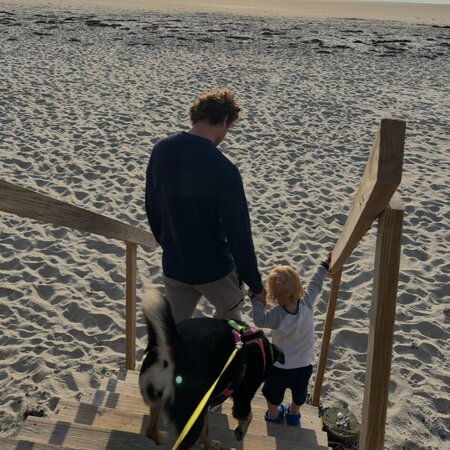 Seeking Care For Our Toddler 1 Day/week Plus Occasional Evenings