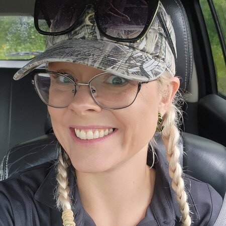 Babysitter Needed For 3 Children In Roseville.