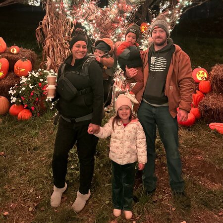 Nanny Needed For 3 Children In Williamstown