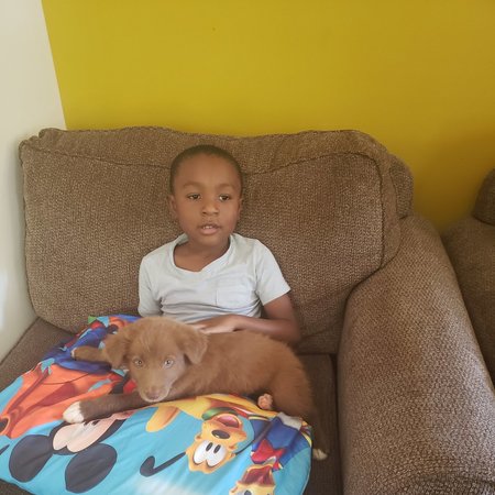 Babysitter Needed For 1 Child In Kannapolis.