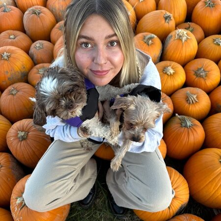 2 Small Pups Who Need A Loving Bestie!