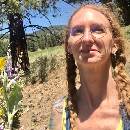 Looking For A Dependable House Cleaner For Family Living In Nokesville.