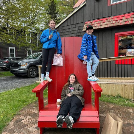 Babysitter Needed For 2 Children In Manlius.