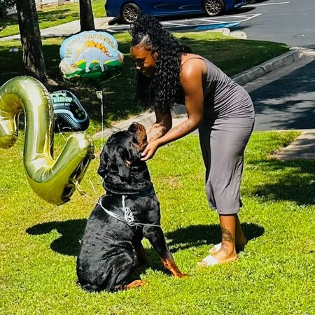 Looking For A Pet Sitter For 2 Dogs In Baltimore
