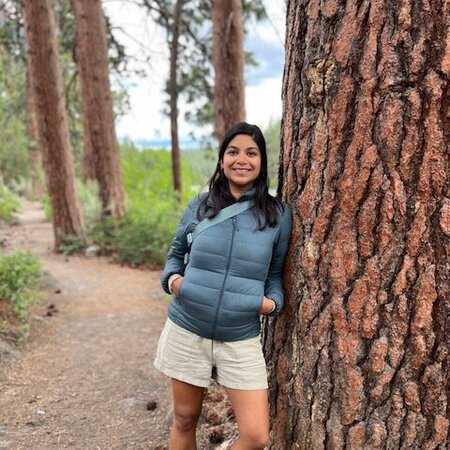 Looking For A Dependable House Cleaner For Family Living In Edina/St Louis Park Area