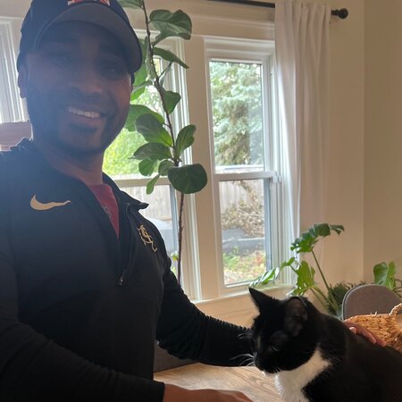 Looking For A Pet Sitter For 2 Cats In Minneapolis