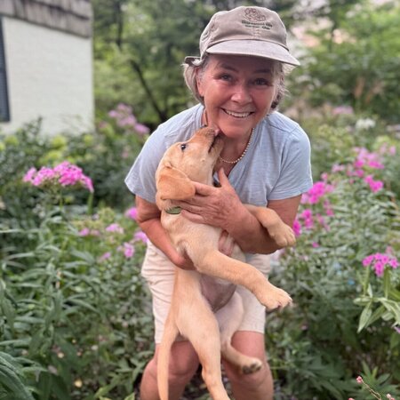 Seeking Full-time Senior Care Provider In Madison