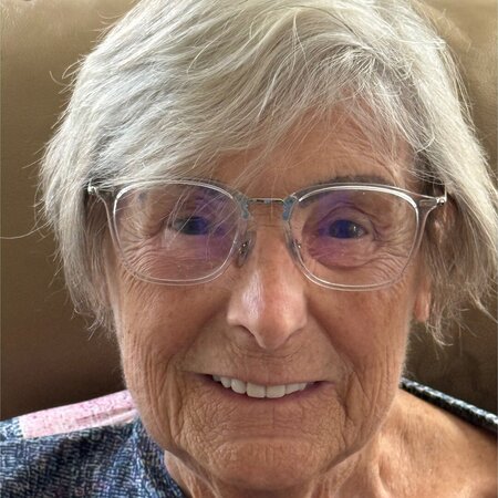 Caregiver For Pretty Independent 86 Year Old Woman.  Needs Help With Household Tasks.