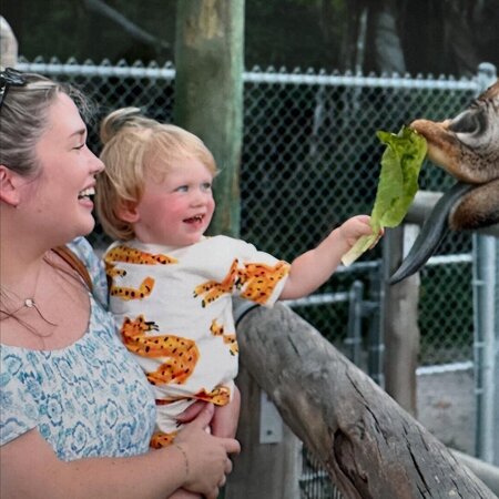 Nanny Needed For 1 Child In Naples.