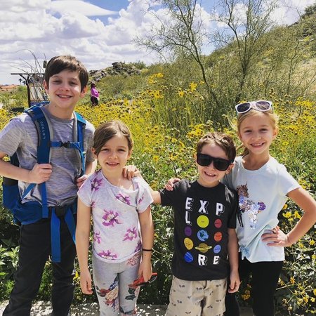 Looking For A Pet Sitter For 1 Dog, 1 Other Pet In Chandler