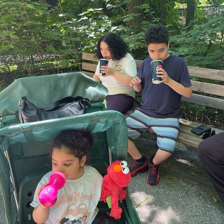 Reoccurring Babysitter Needed For My Children In Garner.