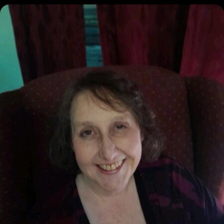 Looking For A Special Education, English, Math, Science Tutor In Mead.