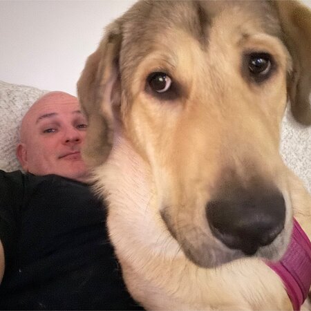 Looking For A Pet Sitter For 1 Dog In Norwood