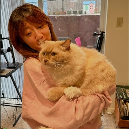 Nanny Needed For My Children In San Francisco.