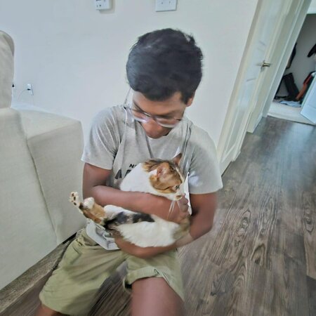 Babysitter Needed For 1 Child In South Austin/Downtown Area