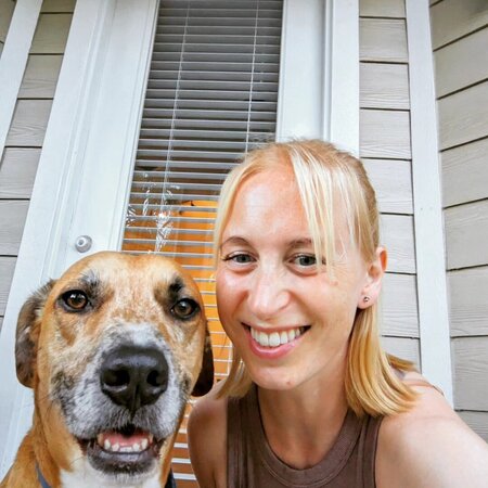 Looking For A Pet Sitter For 1 Dog In Brandon