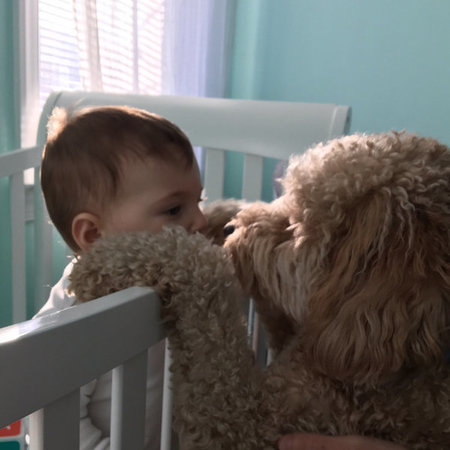 Babysitter Needed For 2 Children In Philadelphia