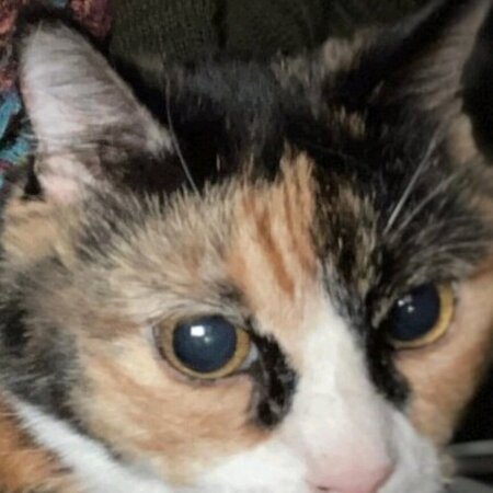 Seeking 24/7 Skilled Nursing Care In Hampton