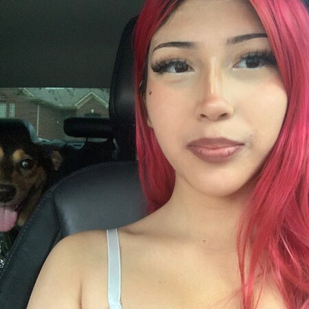 Dog Sitter