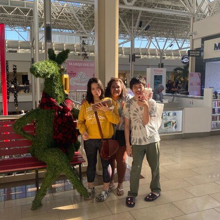 Looking For A Dependable House Cleaner For Family Living In Fort Worth.