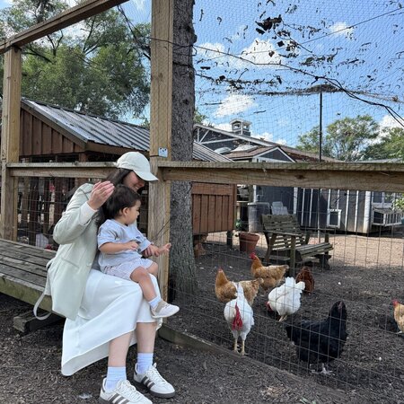 Nanny Needed For 1 Child In Schaumburg.