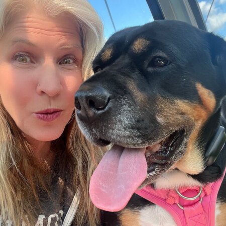 Looking For A Pet Sitter For 1 Dog In Salem