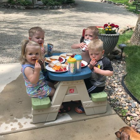 Super Fun Family In Hopkins In Need Of After-School Care/Meal Prep/House Manager