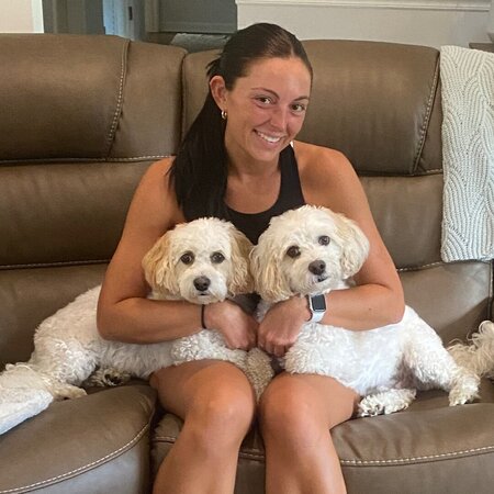 Looking For A Pet Sitter For 2 Dogs In Middletown