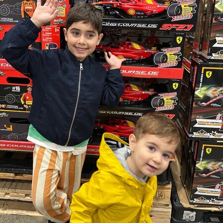 Nanny Needed For 3 Children In Lake Oswego