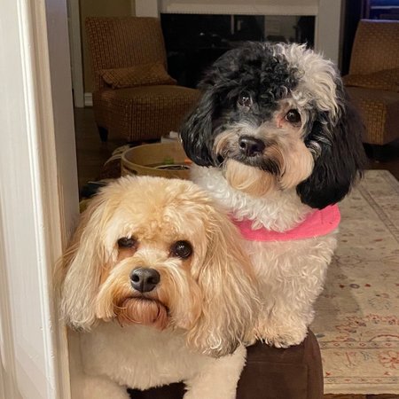 Hands-on Care Needed For My Mother In Atlanta