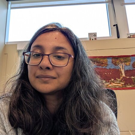 Nanny Needed For 1 Child In Plainview.