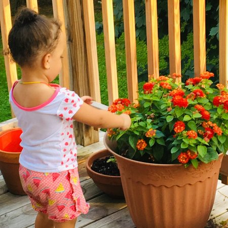 2 Hrs Daily Except Wednesdays