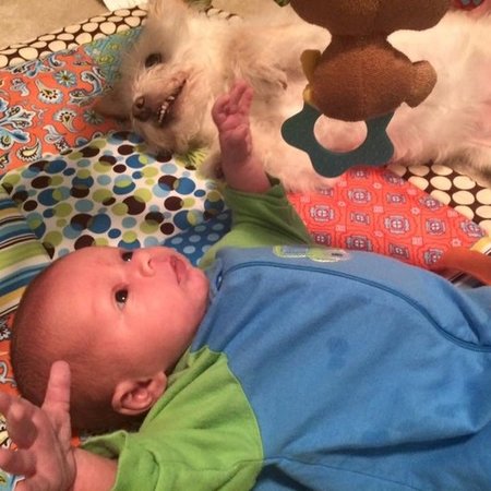 Babysitter Needed For 2 Children In Brookshire