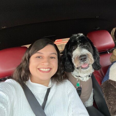 Need Help With My Dog