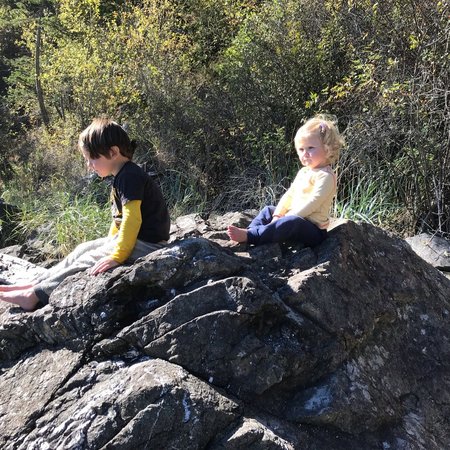 Looking For A History, Study Skills, English, Math, Science Tutor In Anacortes.